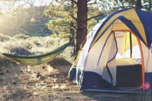 Abbildung von einem Zelt und einer Hängematte im Wald