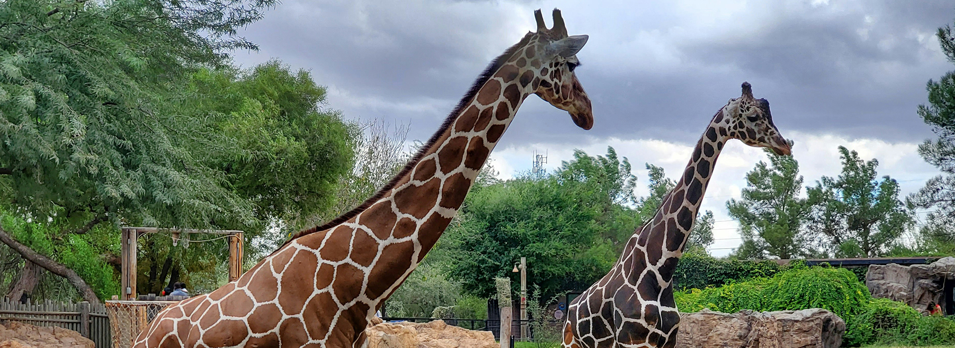 Zwei Meinungen, ein Thema: Zoos & Aquarien – Tierfrevel oder Artenschutz?